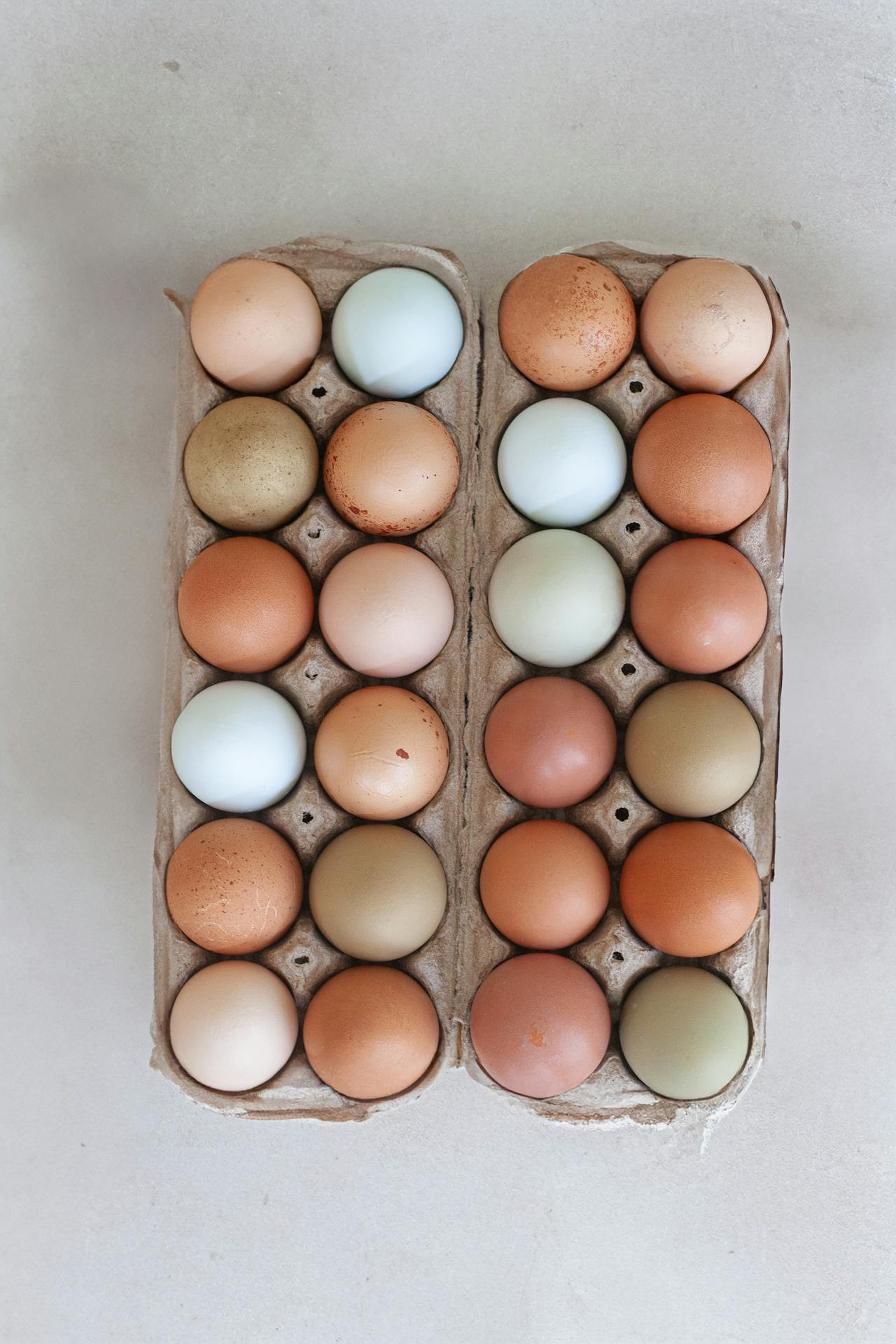 Dozen Farm Fresh, Soy Free Eggs