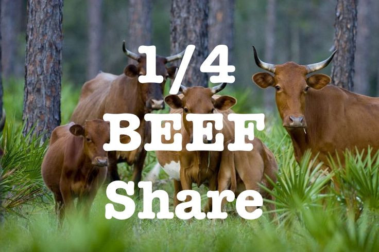 1/4 Share Grass Finished Beef
