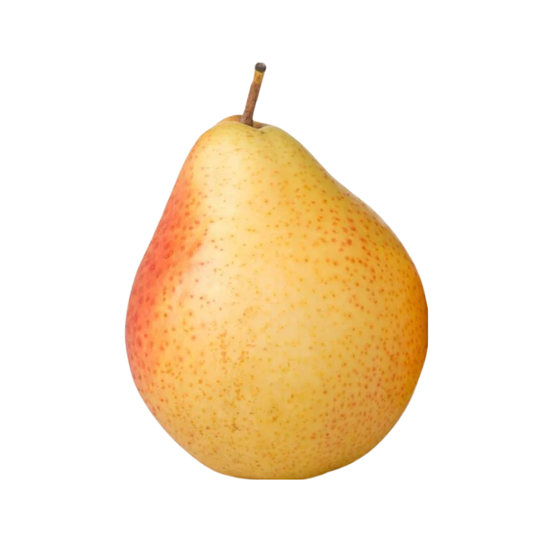 Sunrise Pears - Champlain Orchards
