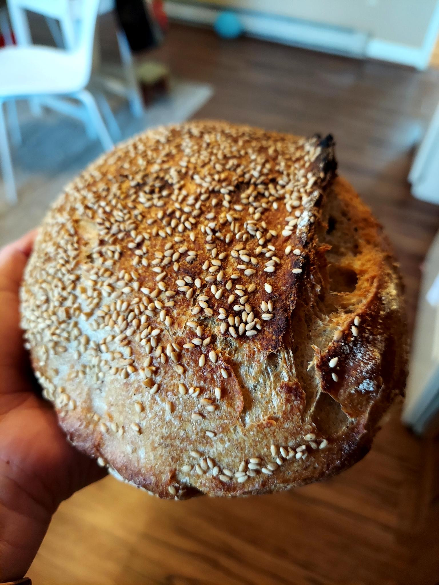Sourdough Loaf