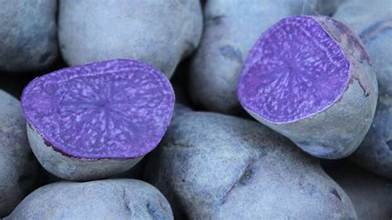 Purple Potatoes 10# Bag