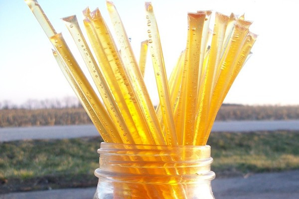 Raw, Local Honey Sticks - 10 pack