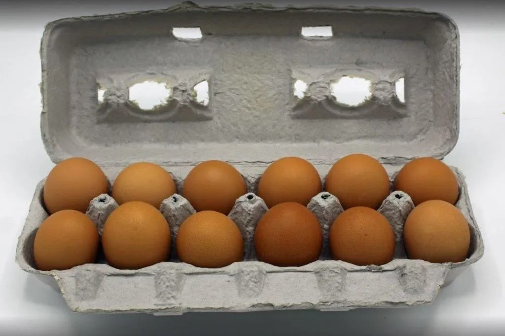 1 Dozen Brown Eggs