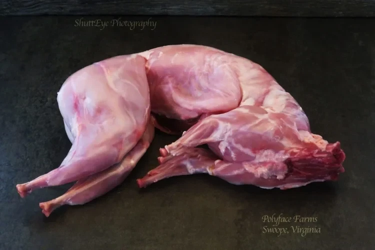 3.1-3.4lb |Rabbit Fryer