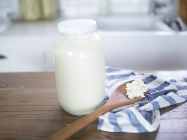 Milk Kefir Starter Grains with Fermenting Instructions