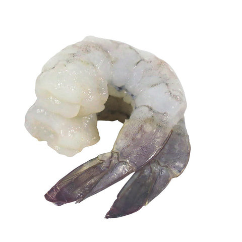 548 Shrimp - Extra large (13-15’s)
