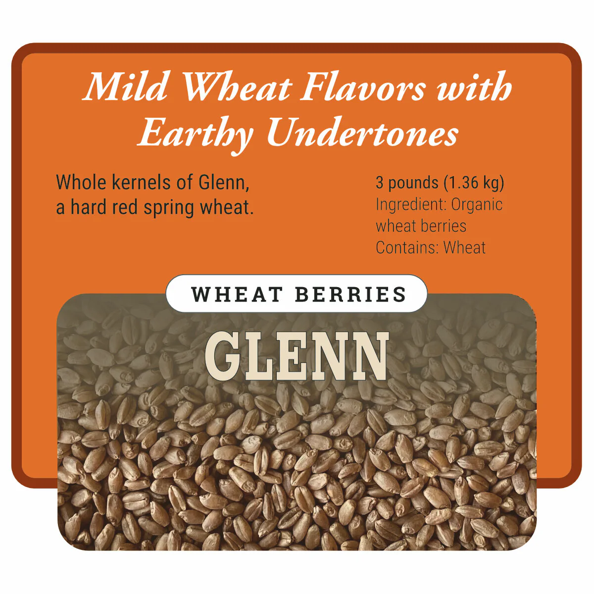 Organic Hard Red Spring Wheat Berries