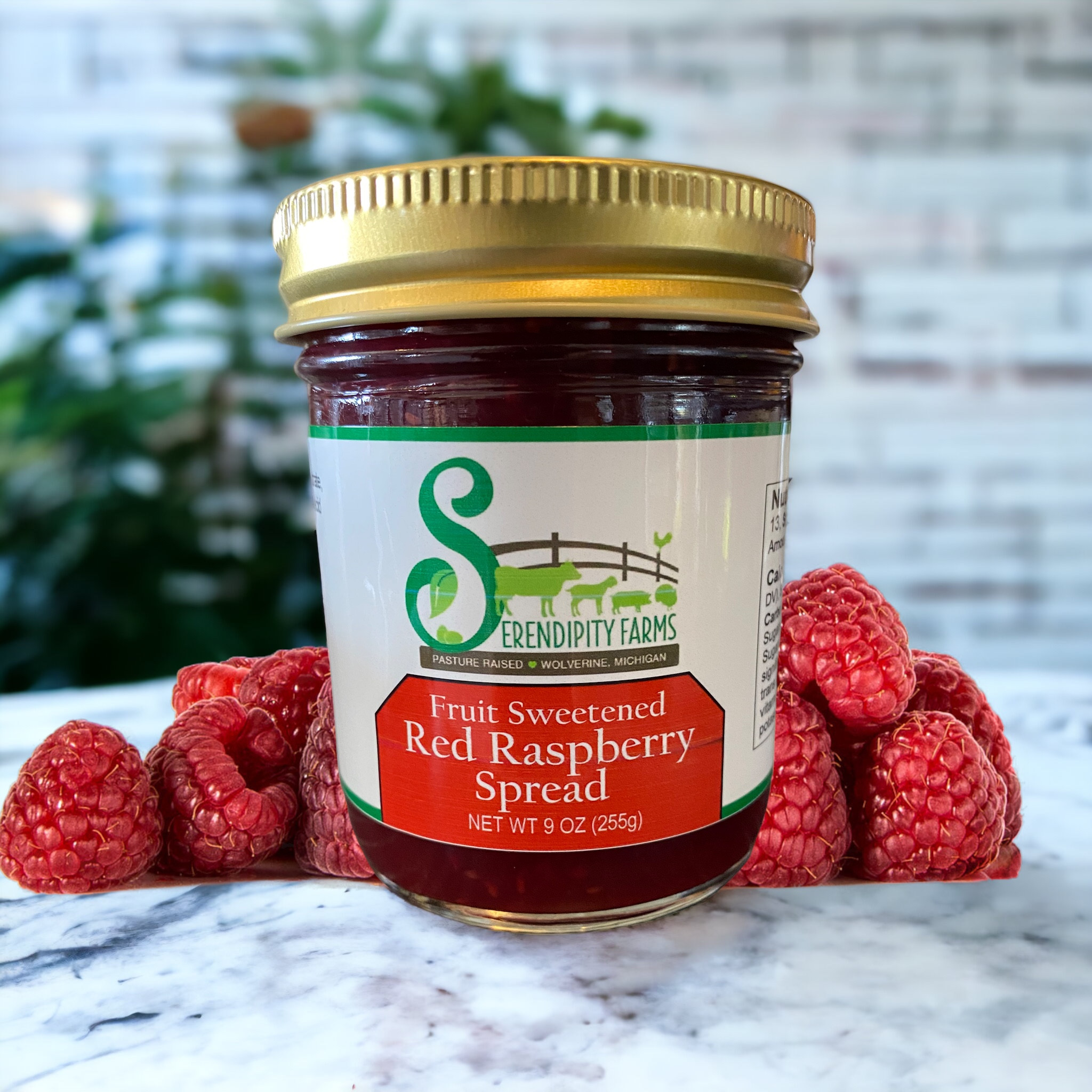SF Red Raspberry Fruit Spread