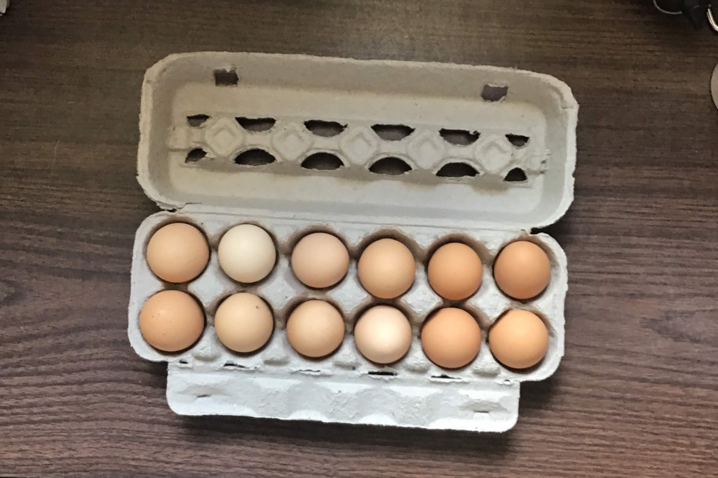 Eggs