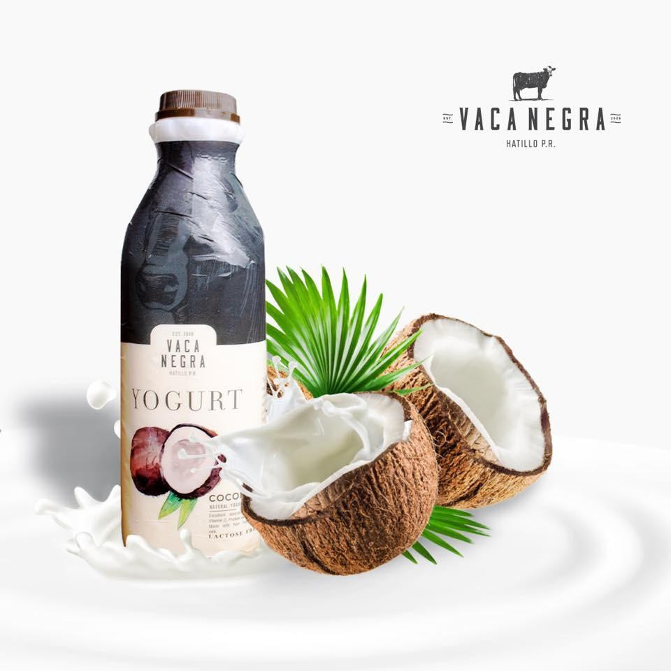 Coconut Yogurt