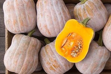 1 bu - Autumn Frost Squash (OG)