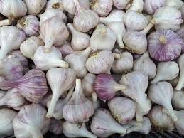 Bulk Garlic 1lb
