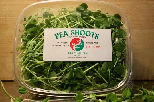 Brier Patch Pea Microgreens