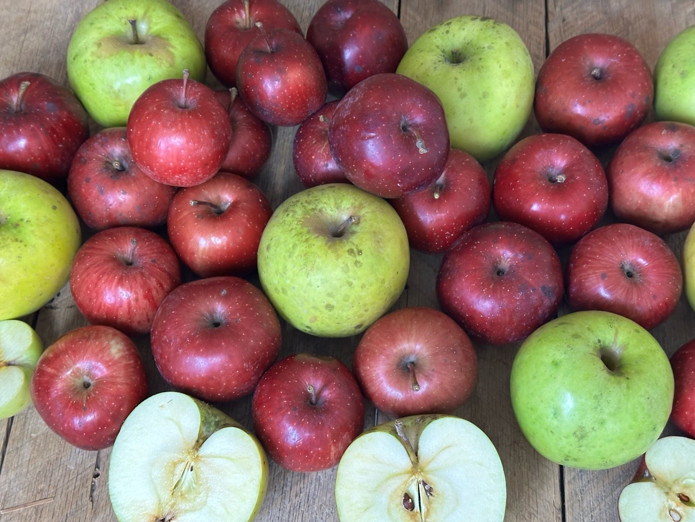 10 lbs. Fresh Apples