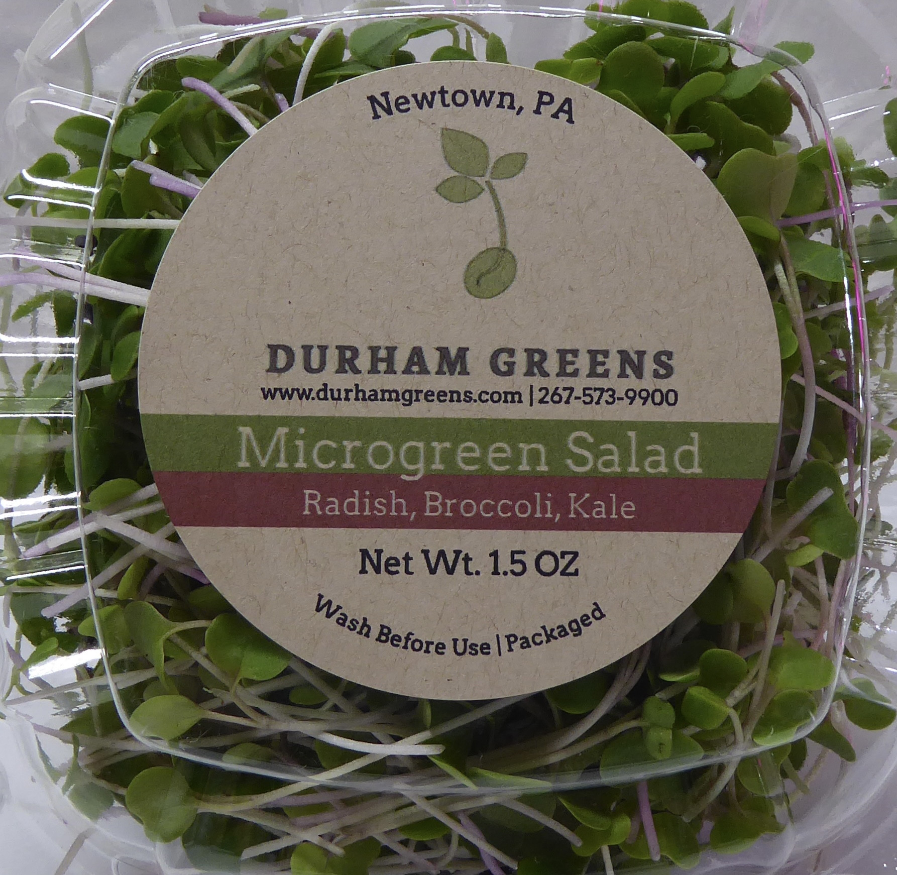 Durham Greens Microgreen Salad