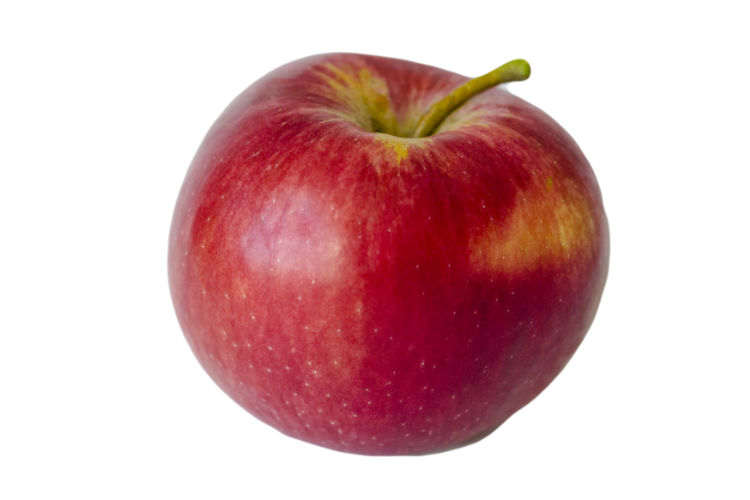 Macoun Apples - Champlain Orchards