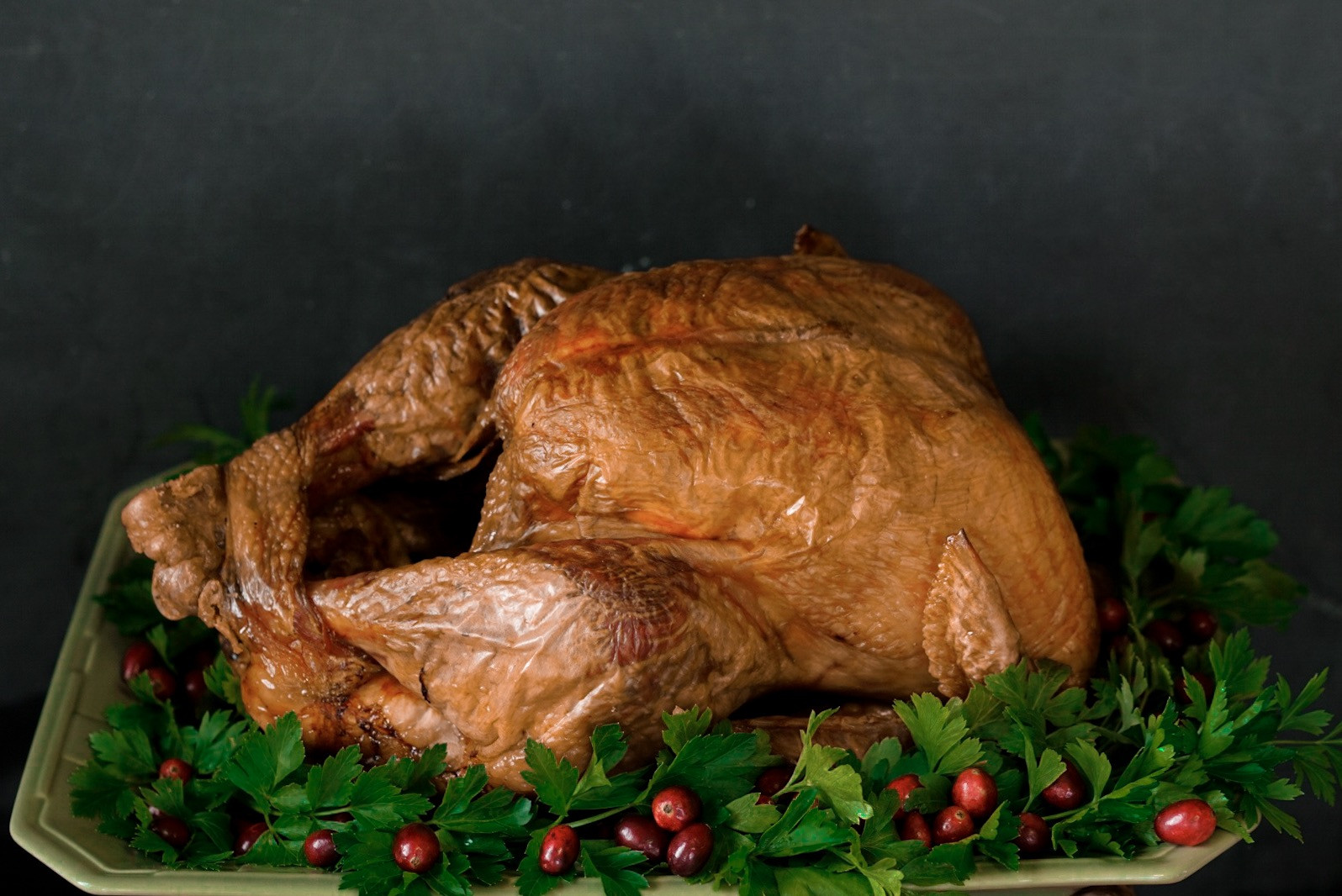 Large Thanksgiving Turkey