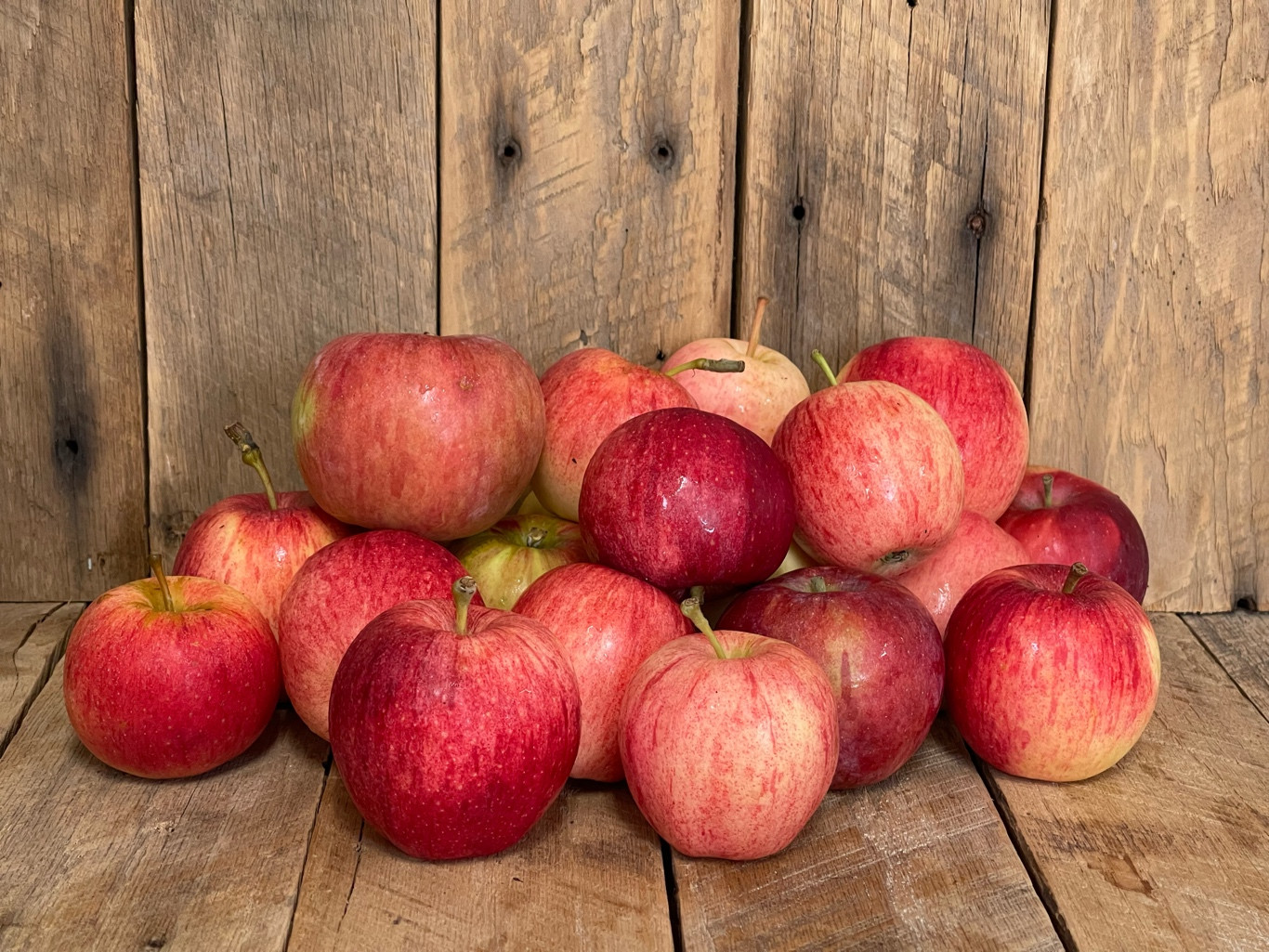 10 lbs. Fresh Apples