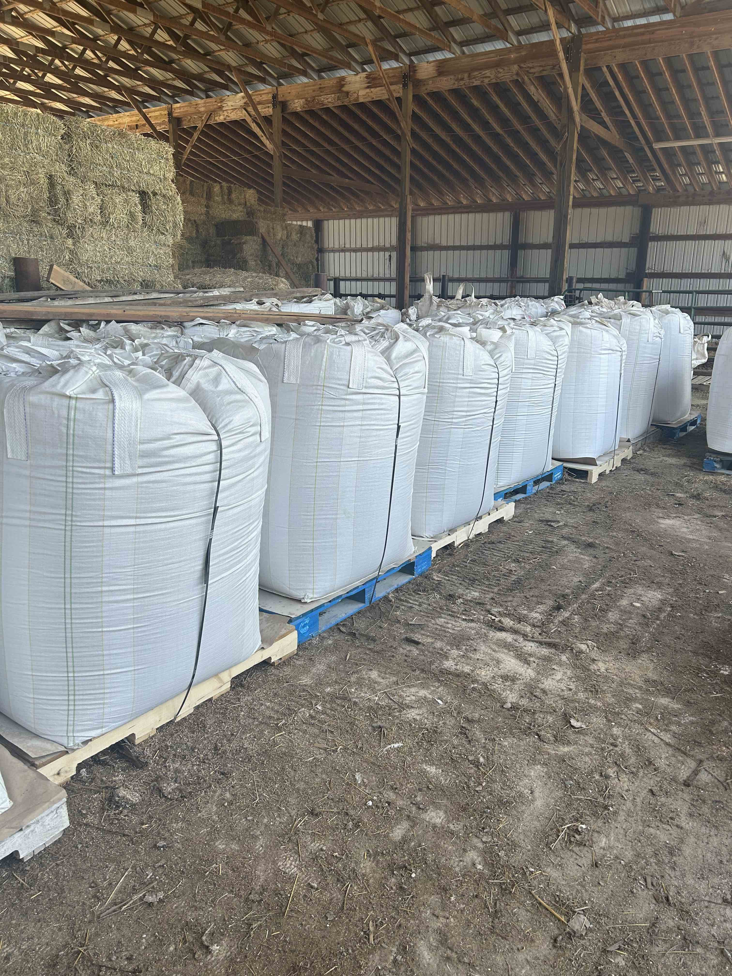 Chick Starter Fertrell (No Soy) | 1/2 Ton