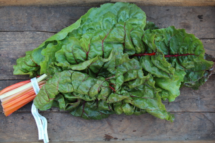 Case (24 bunch) Organic Swiss Chard