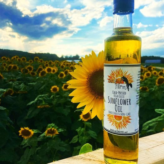 Sunflower Oil