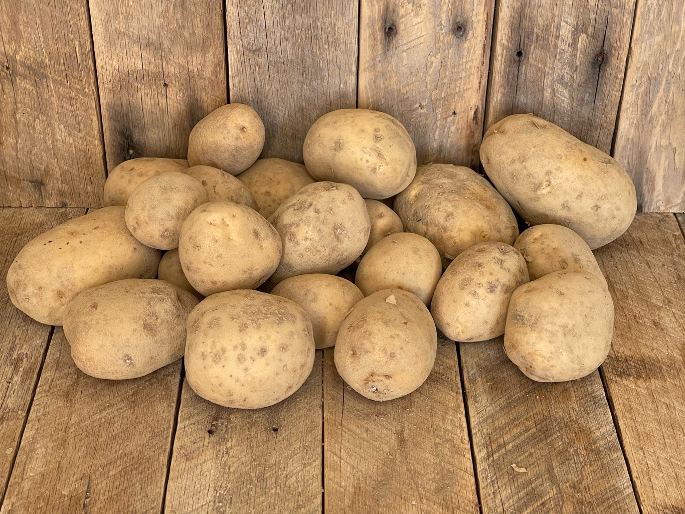 10 lb. Lehigh Potatoes