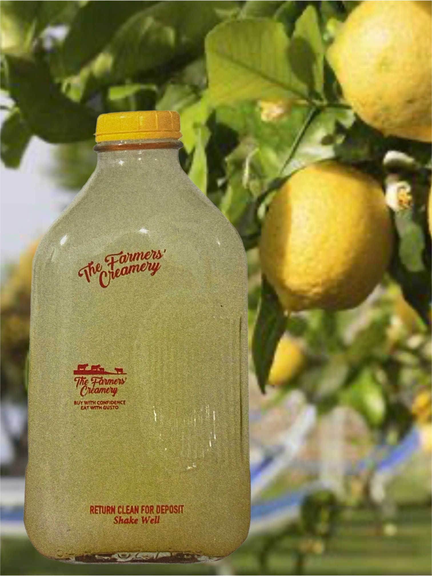 Lemonade FC