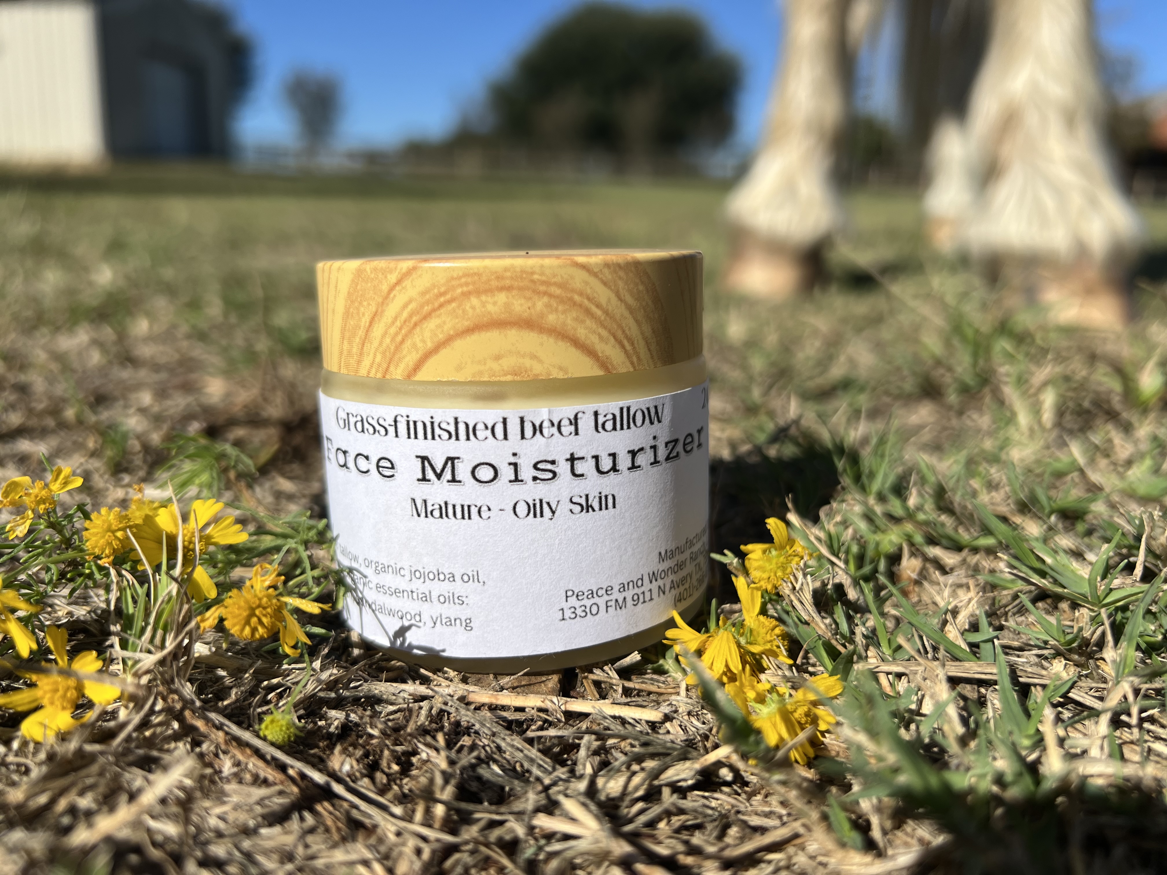 P+W Skincare - Beef Tallow Face Moisturizer - Mature Oily Skins