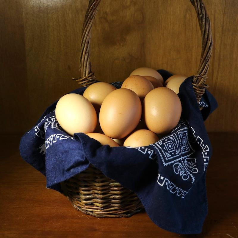 Chicken Eggs, Pastured 1 Dozen