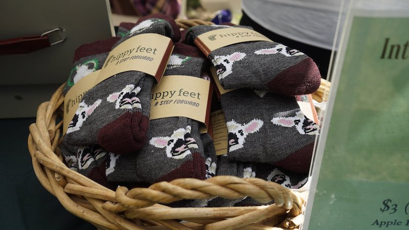 Hidden Villa Lamb Socks - Adult Small/Medium