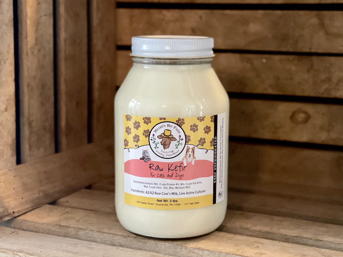 1 quart - Raw Mild A2/A2 Kefir (Glass)