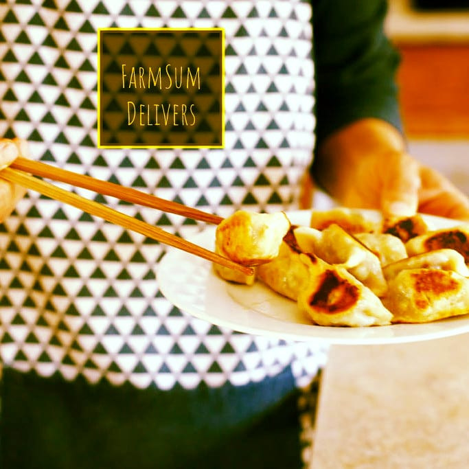Beef Dumplings