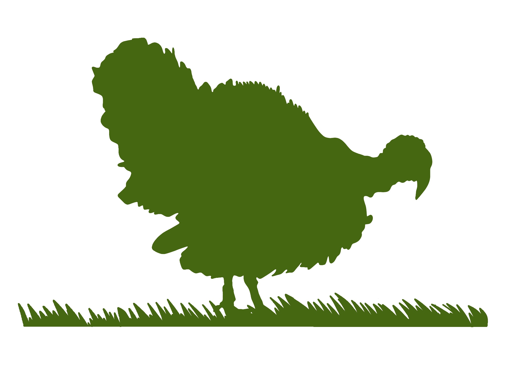 Turkey- Jumbo, JUMBO