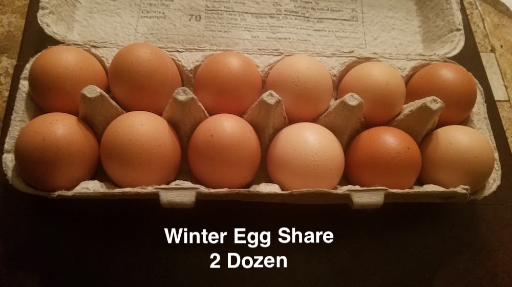 2026-27 Winter Egg Share 2 dz every other week pickup from Chocolate Shoppe Ice Cream 2351 Monroe St Madison Wi