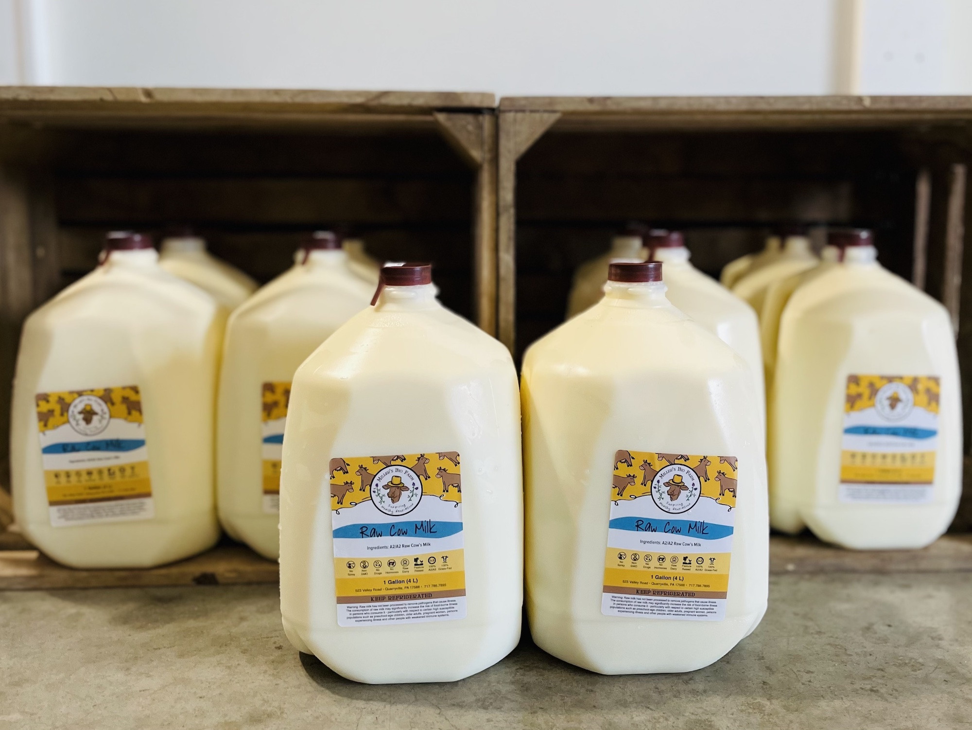10 gallons - Raw A2/A2 Milk Bundle (PA ONLY)