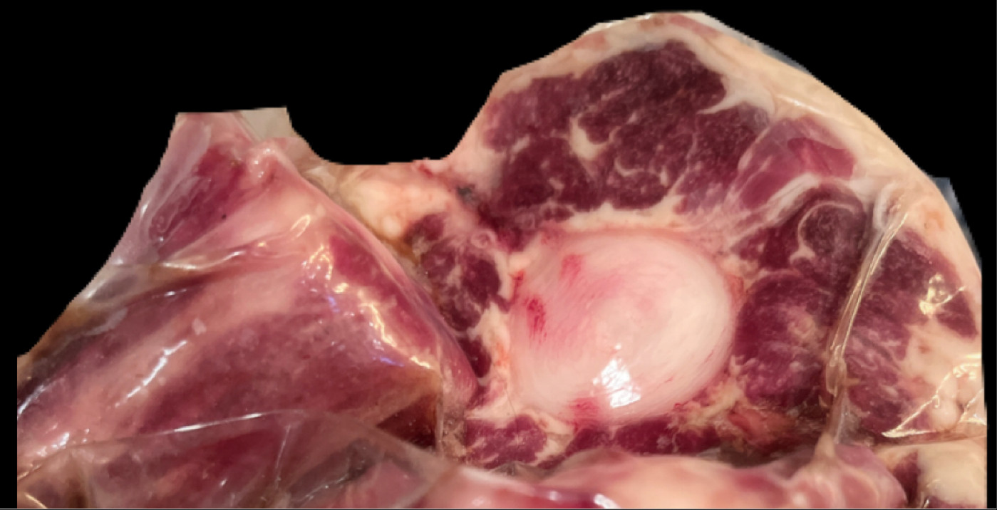 Oxtail