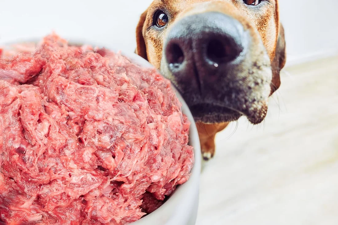 Dog Food Base