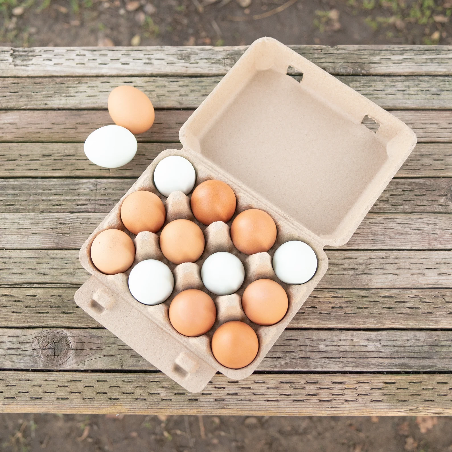 1 Dozen Ungraded Eggs
