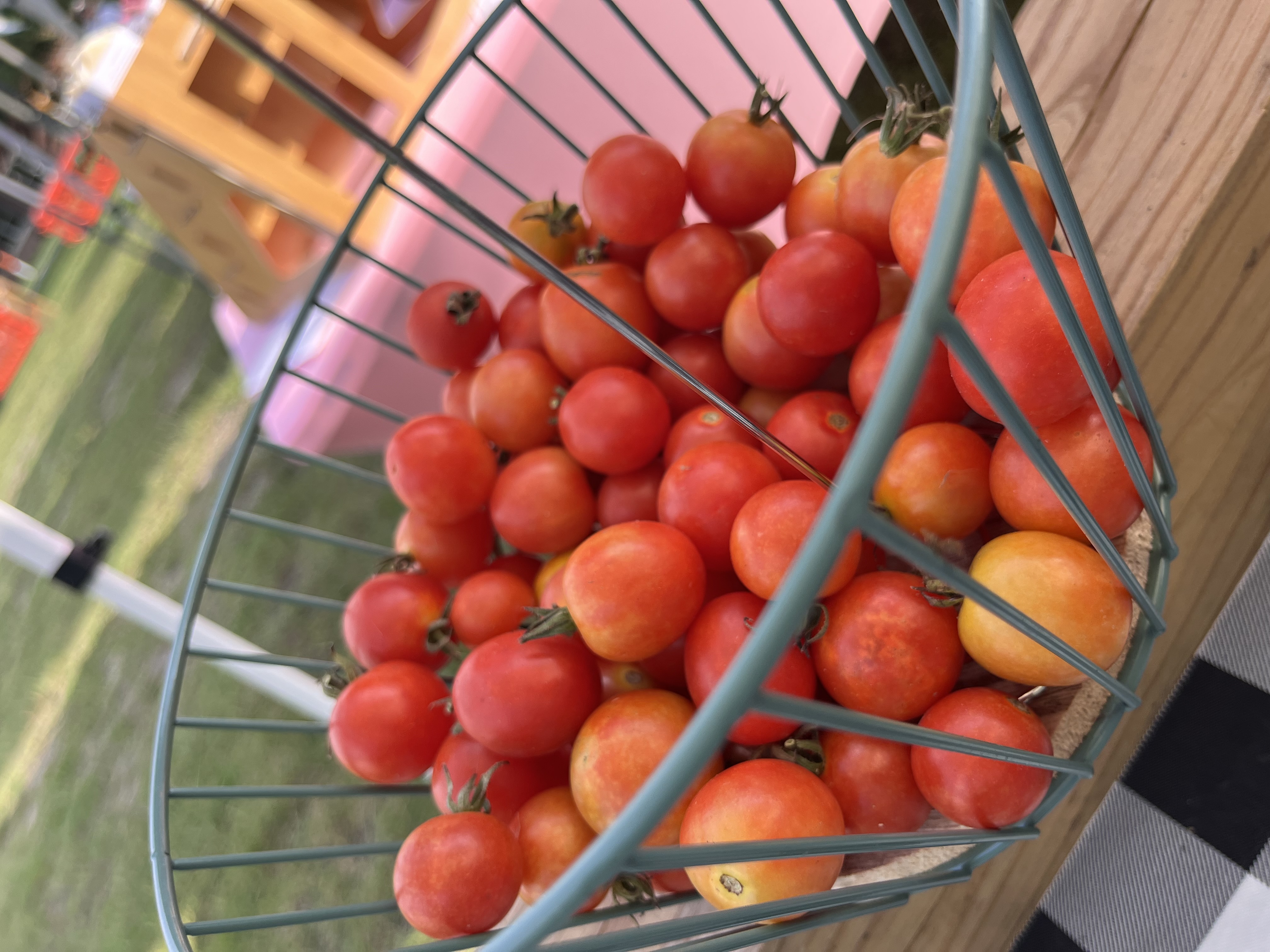 Cherry tomatoes
