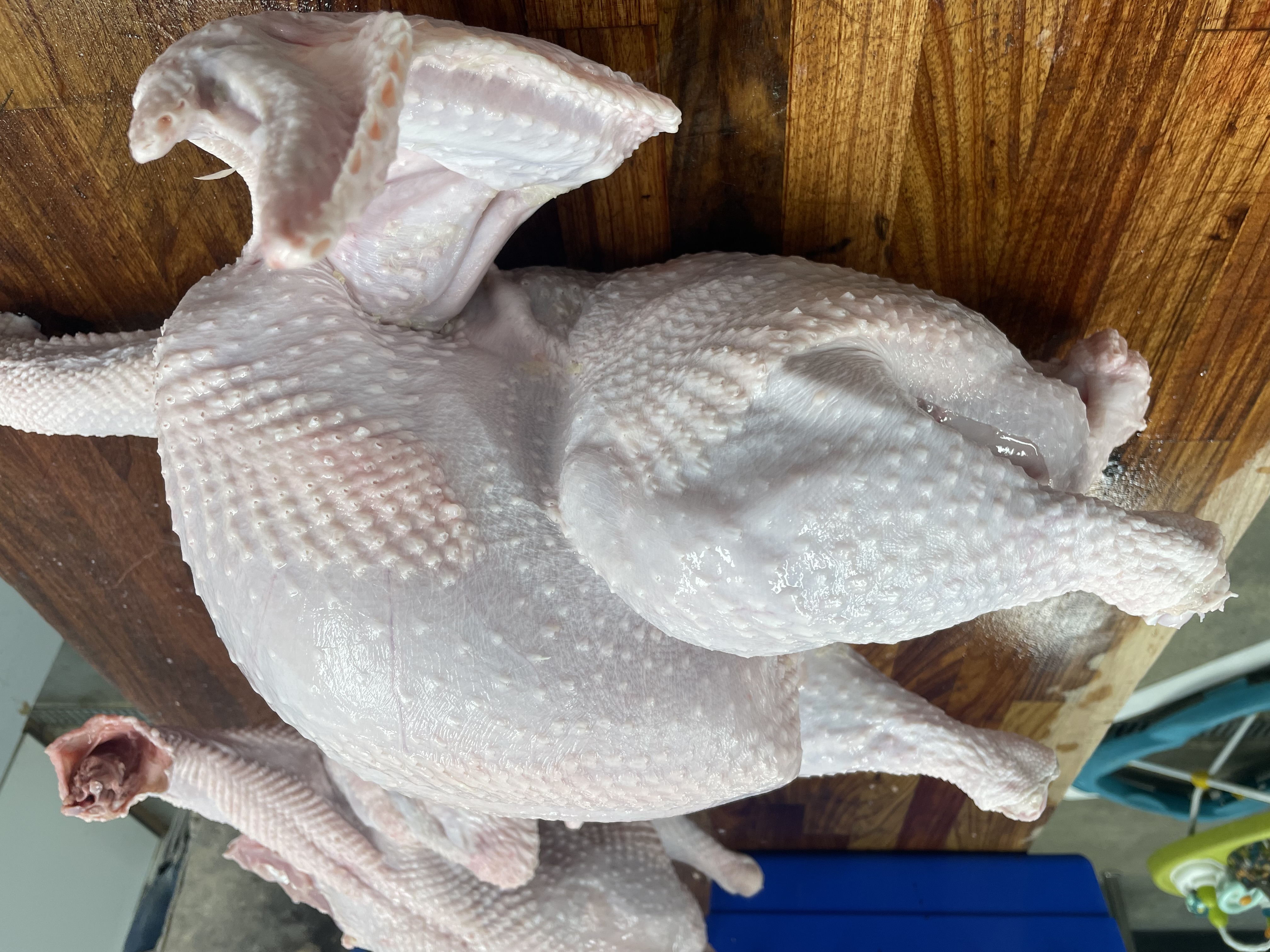 Pre Order Thanksgiving Turkey