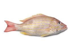 Lane Snapper/ Pargo de Carril Entero 1.5-2lb