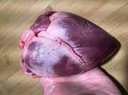 Pork - Pig Heart