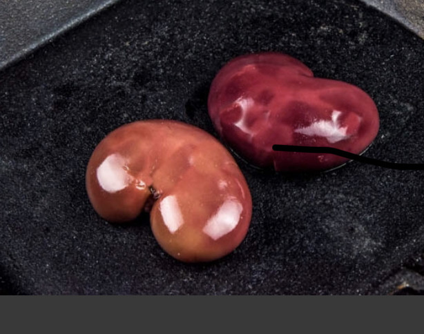Lamb Kidney