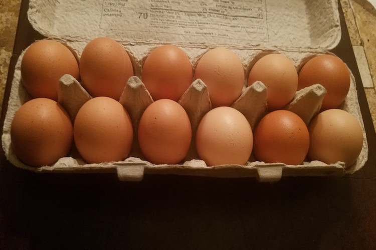 Chicken Eggs - 15 dz, case of cartons