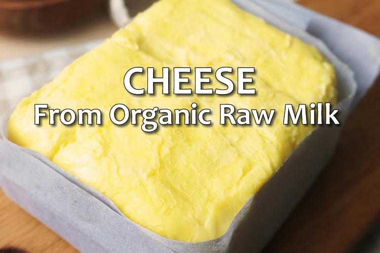 Raw Milk CHEESE