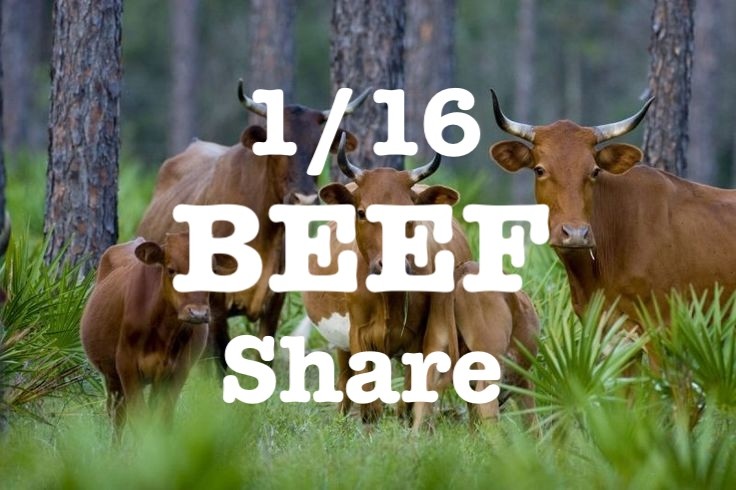 1/16 Share Grass Finished Beef