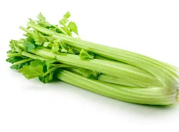 Celery