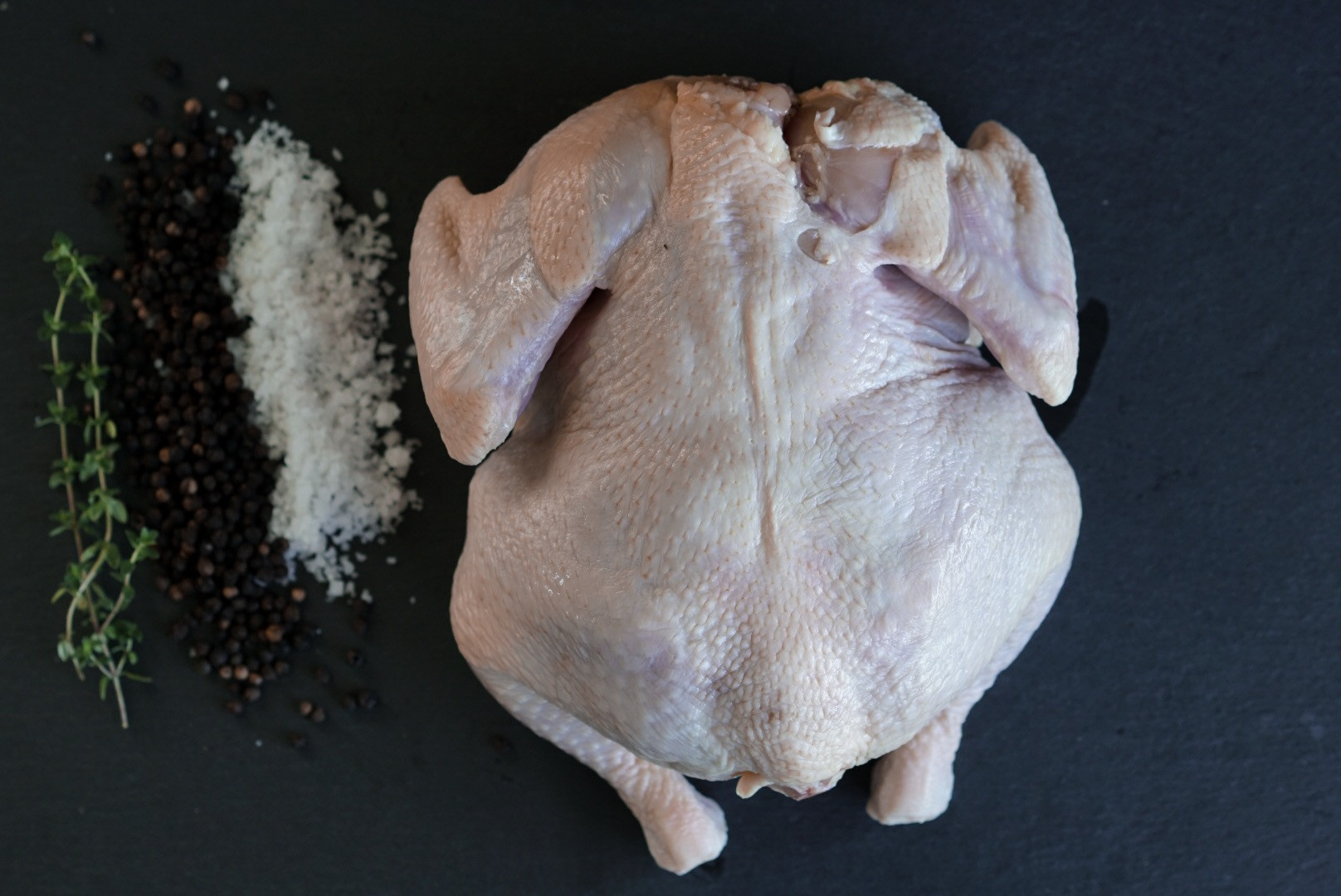 5 Small Bird Chicken Bundle