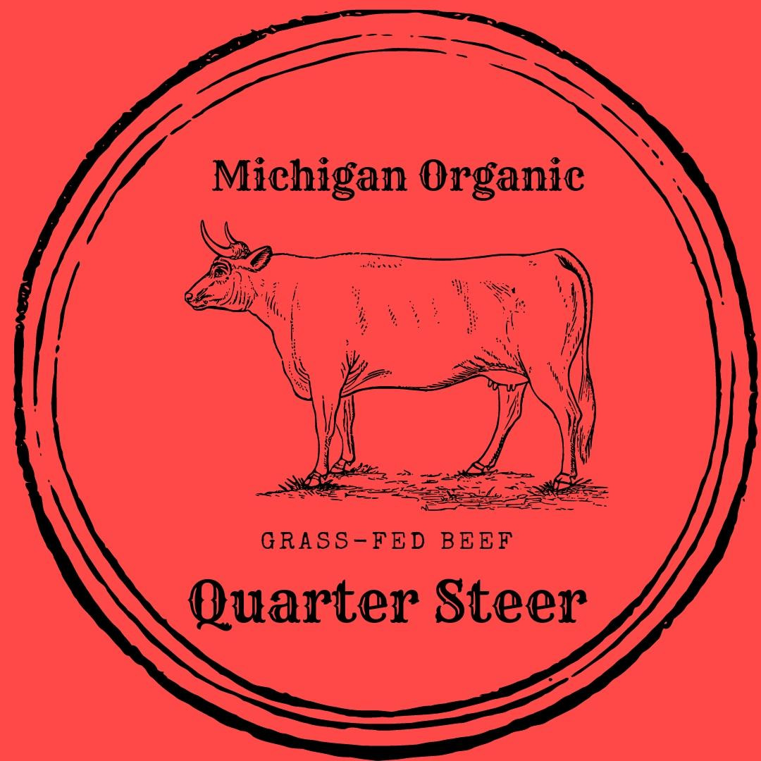 Quarter Steer | Zimba Farms