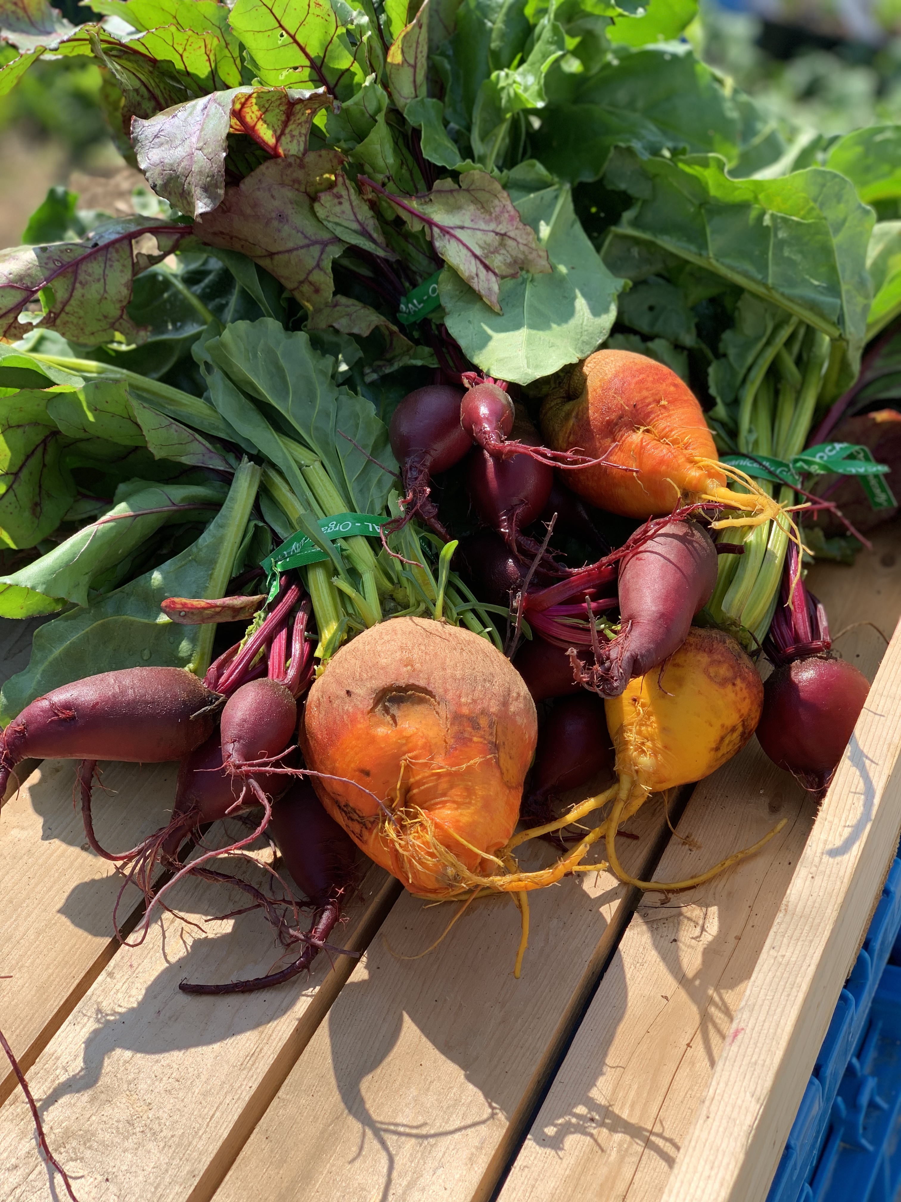 Gold Beets